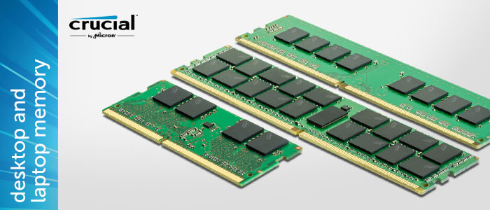 sectionHead-server