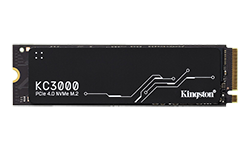 Kinston SKC3000S SSD Image