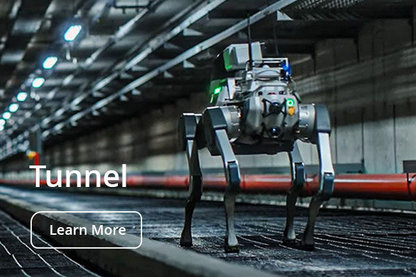 Deep Robotics Tunnel Tile